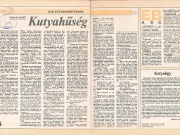 1988 Kutyahűség című Tímár Máté írás